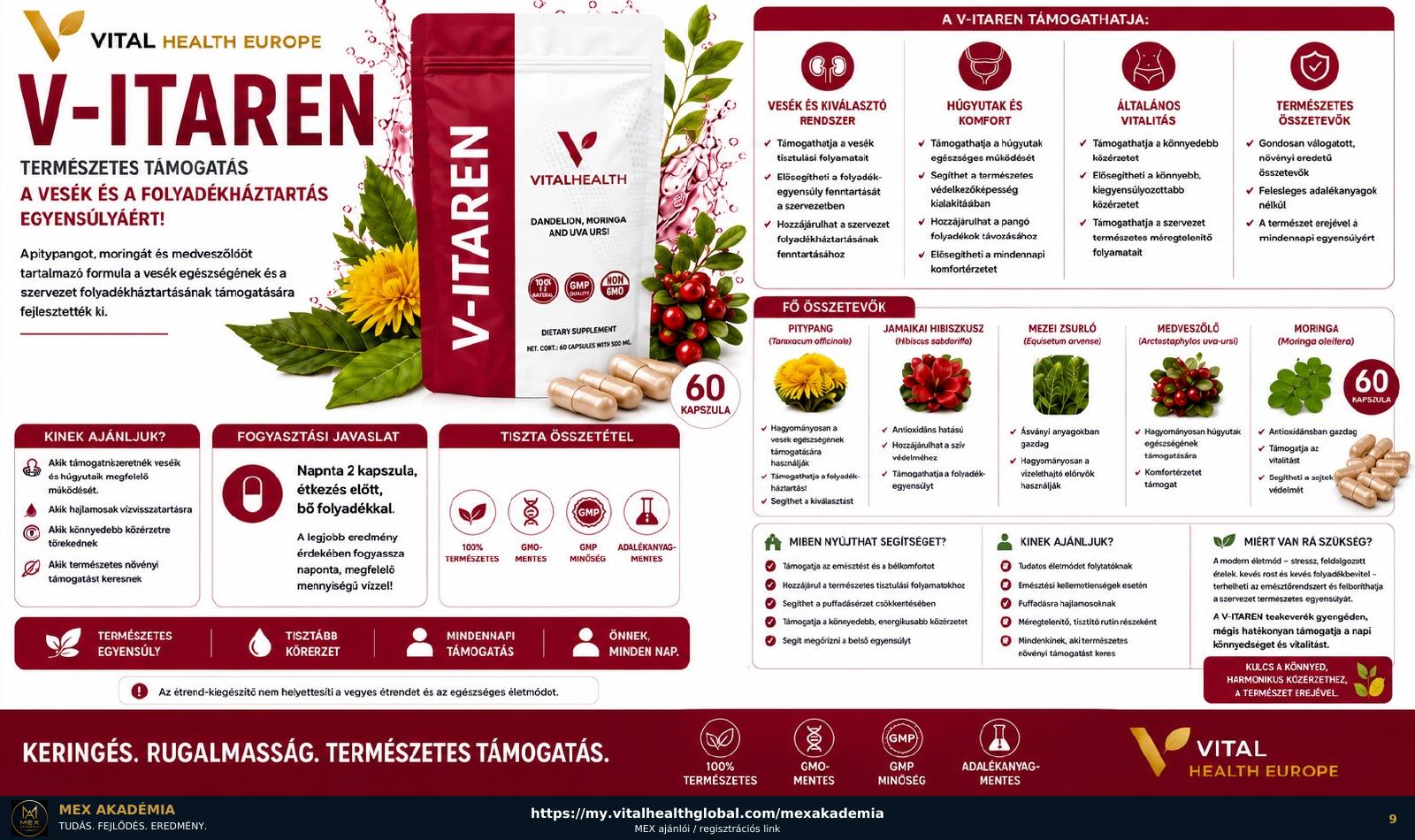 V-Itaren